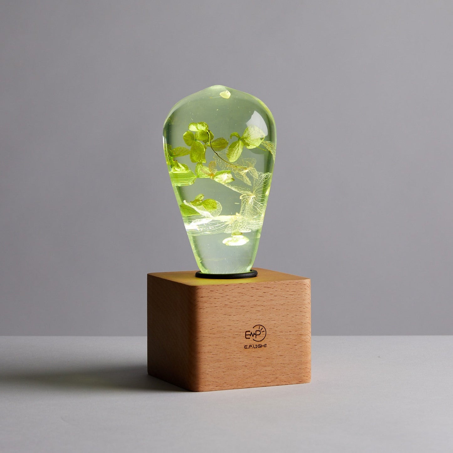 EP Light - White Hydrangea by EP Light