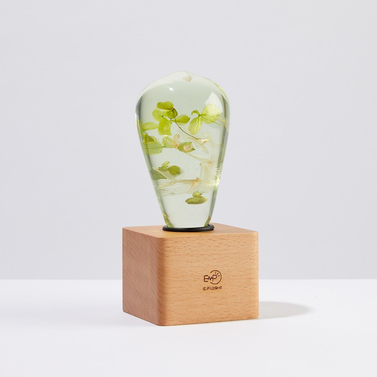 EP Light - White Hydrangea by EP Light